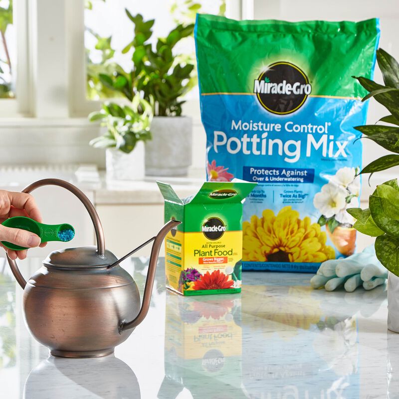 Miracle-Gro® Moisture Control Potting Mix and Miracle-Gro® Water Soluble All Purpose Plant Food image number null