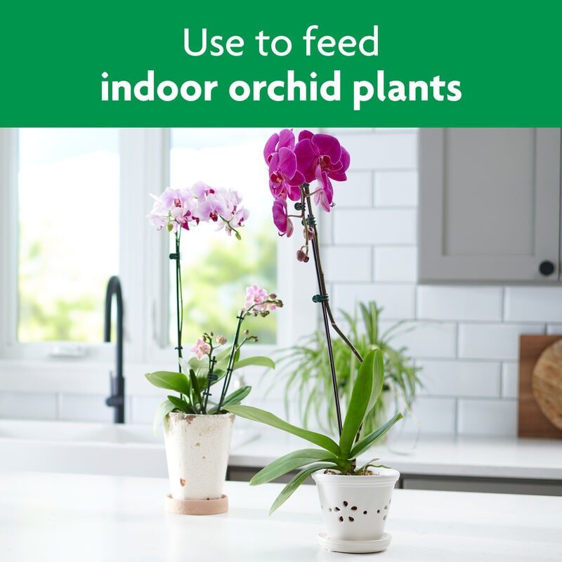 Miracle-Gro® Orchid Plant Food Spikes image number null