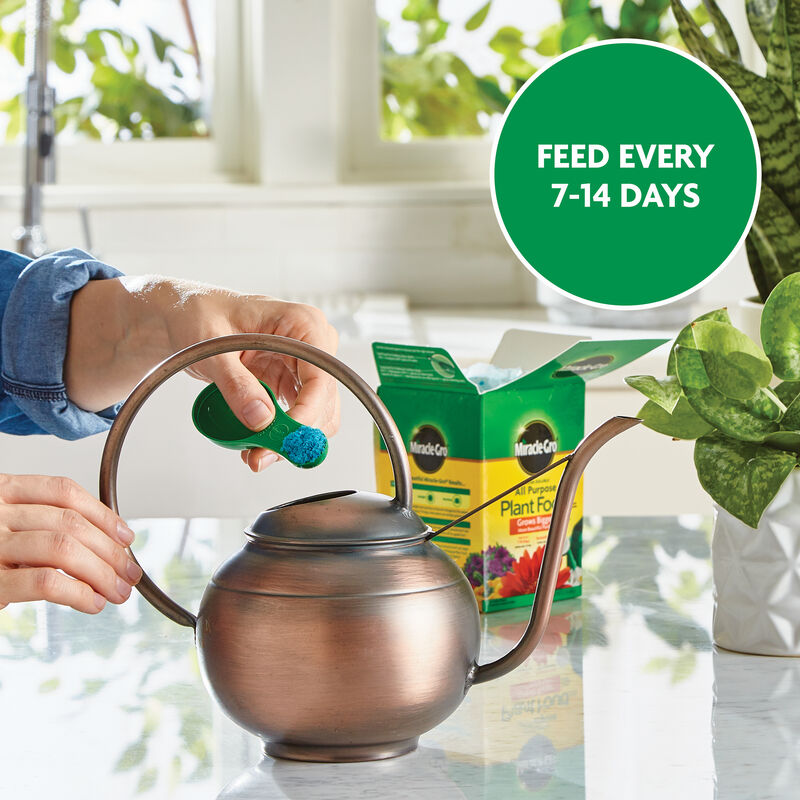 Miracle-Gro® Moisture Control Potting Mix and Miracle-Gro® Water Soluble All Purpose Plant Food image number null