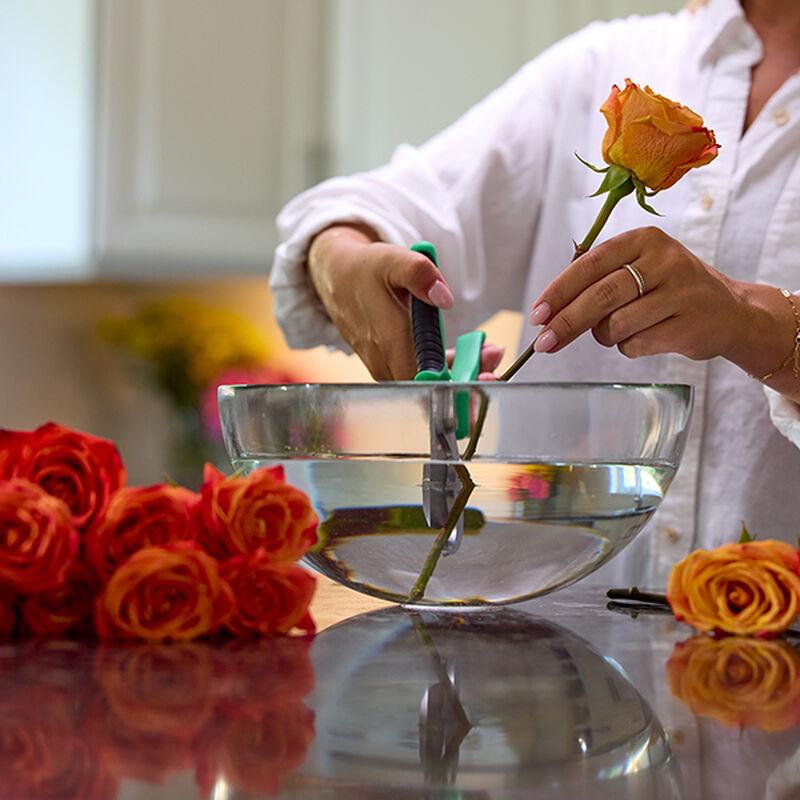 Miracle-Gro® for Fresh Cut Flowers image number null