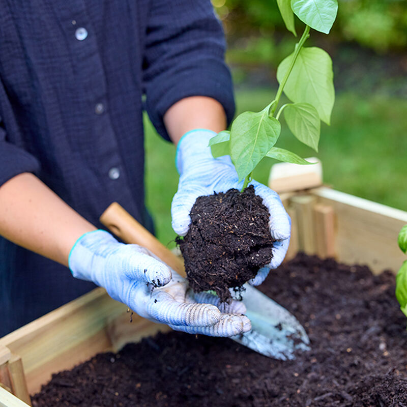Miracle-Gro® Raised Bed Soil image number null