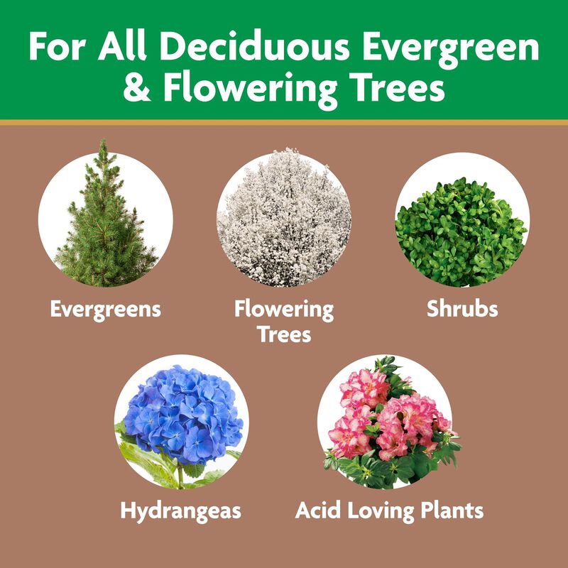 Miracle-Gro® Evergreen Plant Food Spikes image number null