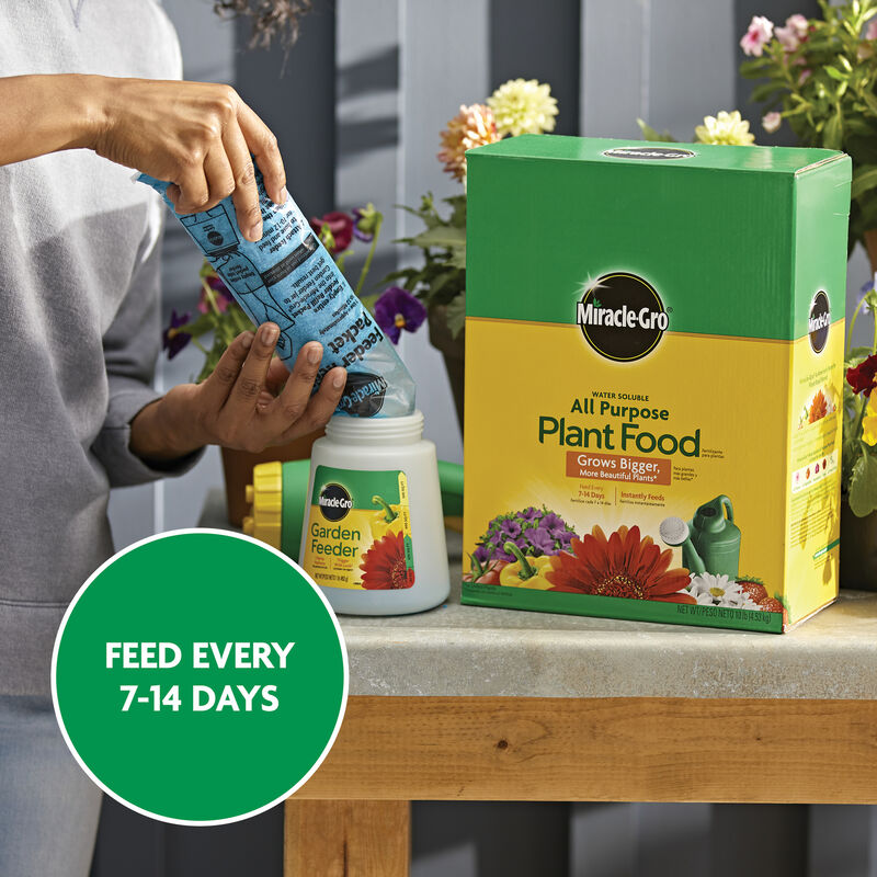 MiracleGro Water Soluble All Purpose Plant Food Miracle Gro