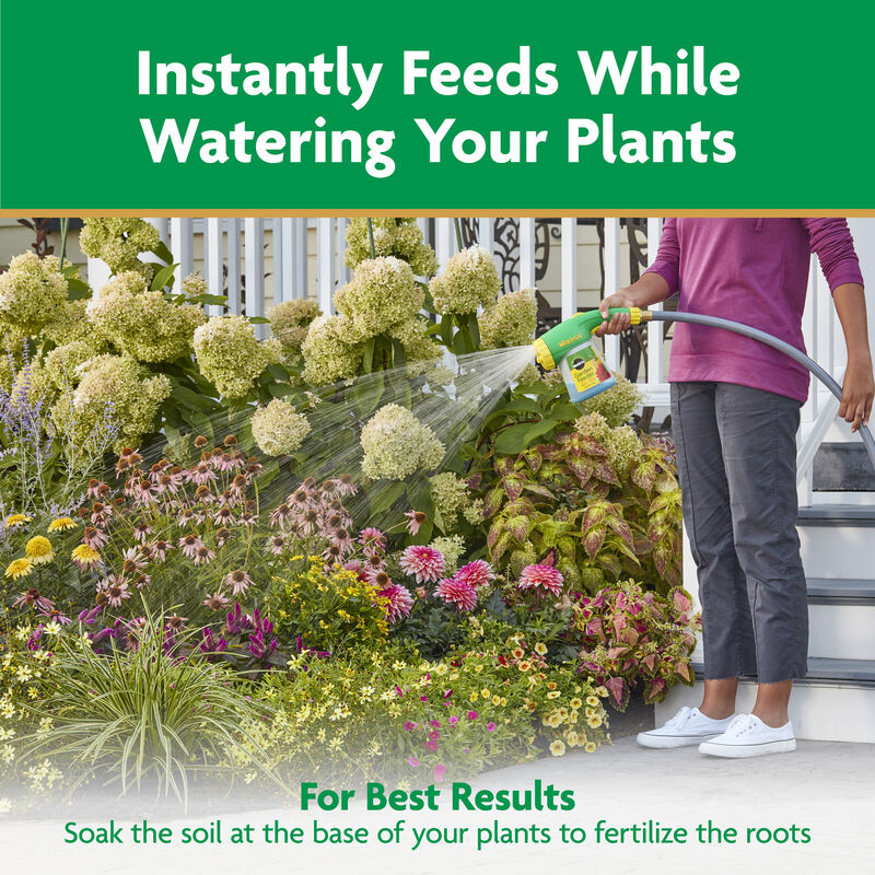 Miracle-Gro® Water Soluble Azalea, Camellia, Rhododendron Plant Food image number null