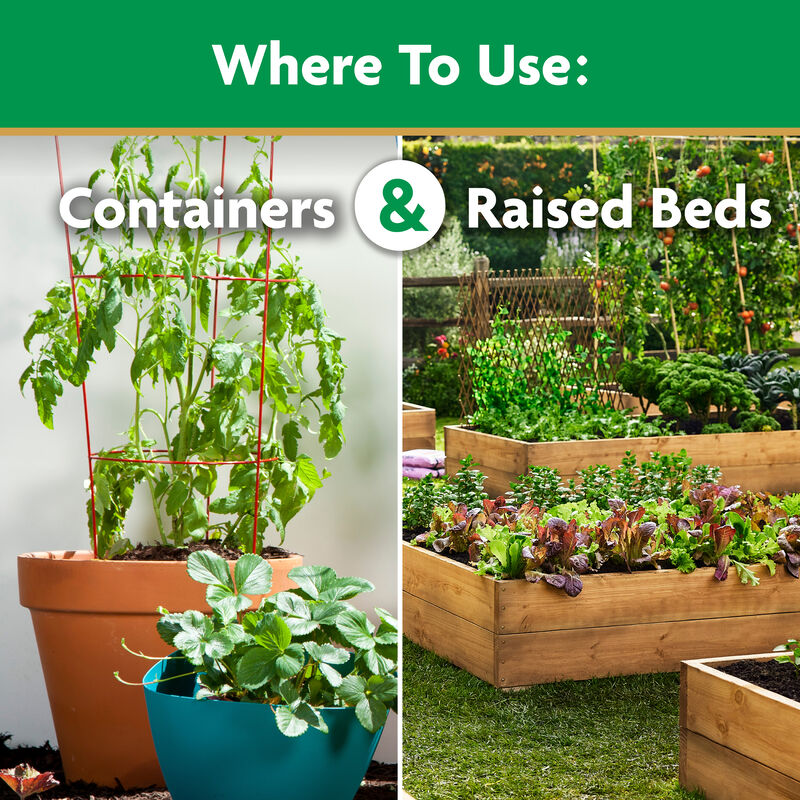 Miracle-Gro® Water Soluble Tomato Plant Food image number null