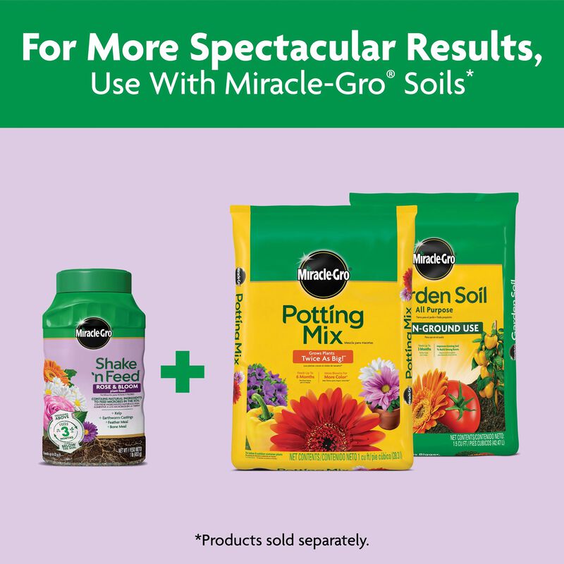 Miracle-Gro® Shake 'n Feed Rose & Bloom Plant Food image number null