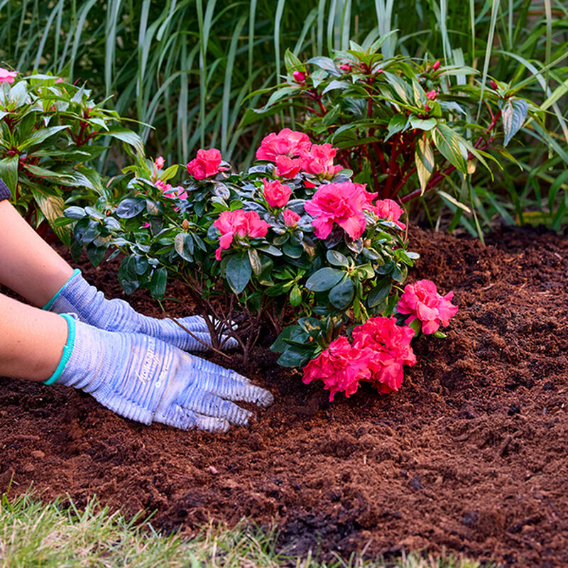 Miracle-Gro® Enriched Canadian Sphagnum Peat Moss image number null
