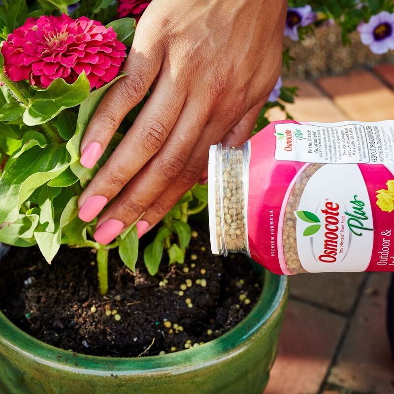 Osmocote Smart-Release 4.5 lbs. Flower and Vegetable Plant Food Dry  Fertilizer 14-14-14 277860 - The Home Depot