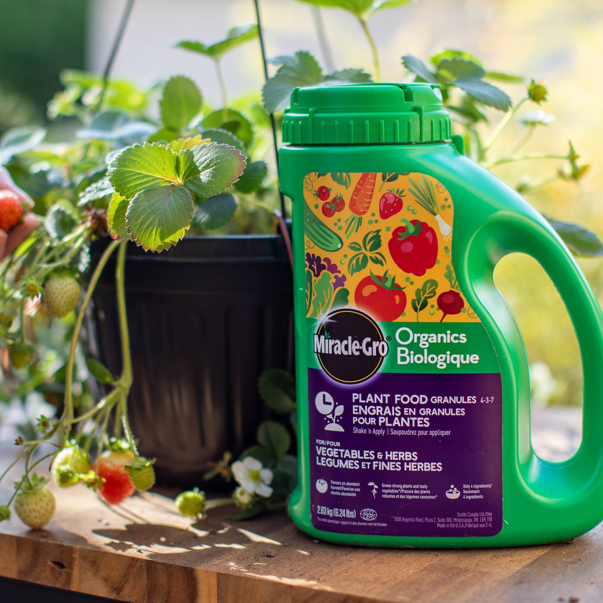 Miracle gro online for vegetables