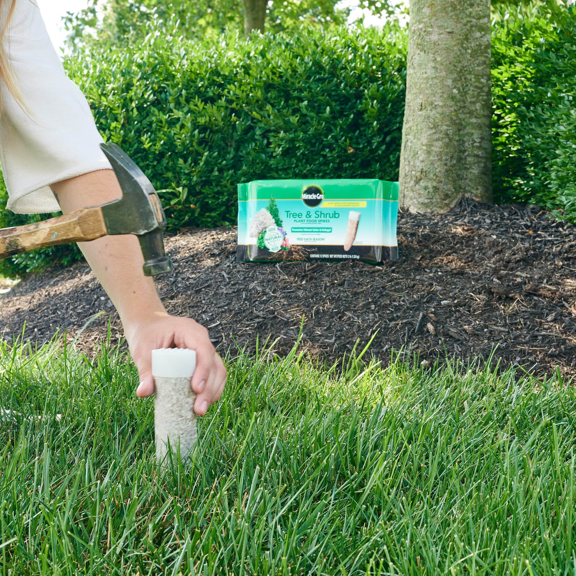 Tree sales fertilizer spikes