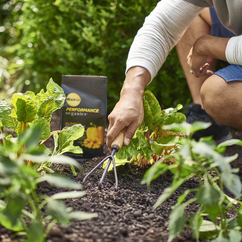 Miracle-Gro® Performance Organics All Purpose Plant Nutrition Granules image number null