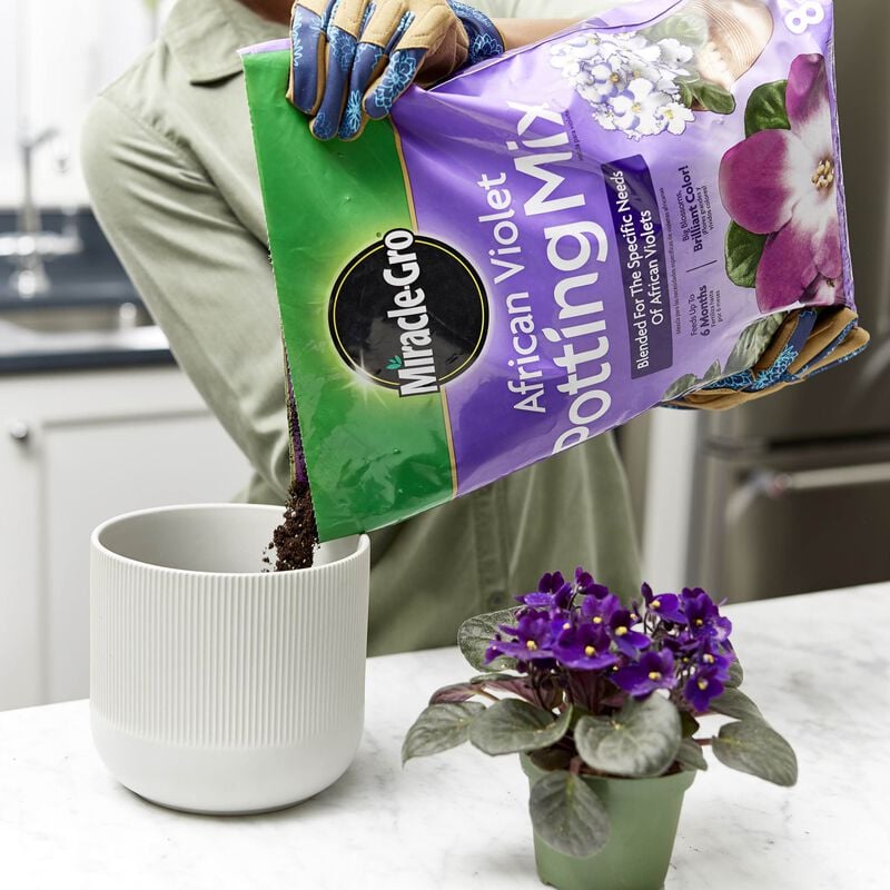 Miracle-Gro® African Violet Potting Mix image number null