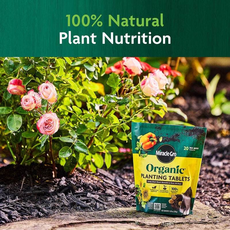 Miracle-Gro Organic™ Planting Tablets image number null
