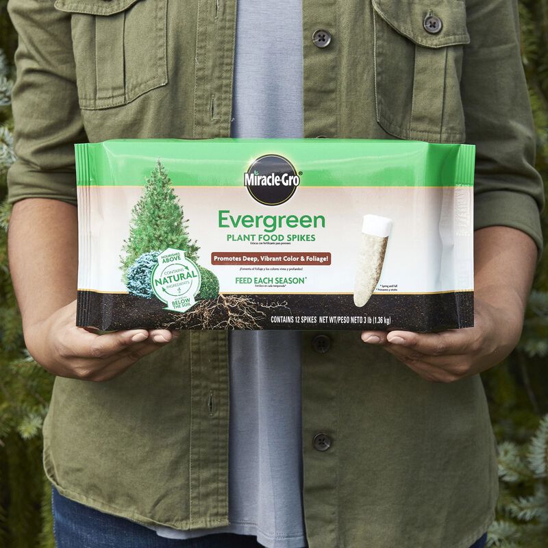 Miracle-Gro® Evergreen Plant Food Spikes image number null