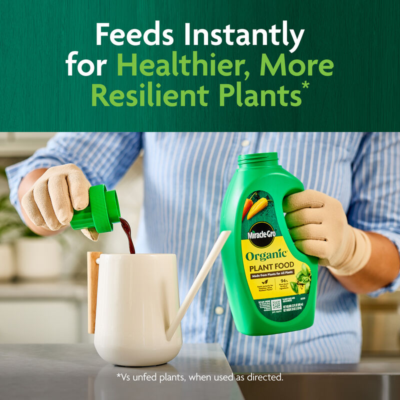 Miracle-Gro Organic™ Plant Food image number null