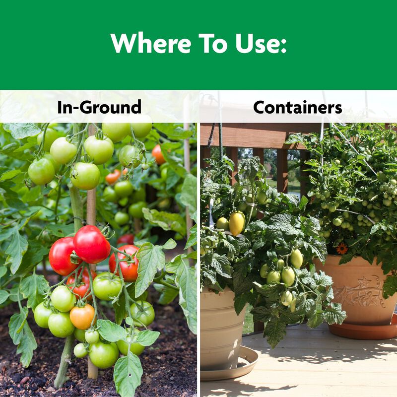 Miracle-Gro® Shake 'N Feed Tomato, Fruit & Vegetable Plant Food image number null