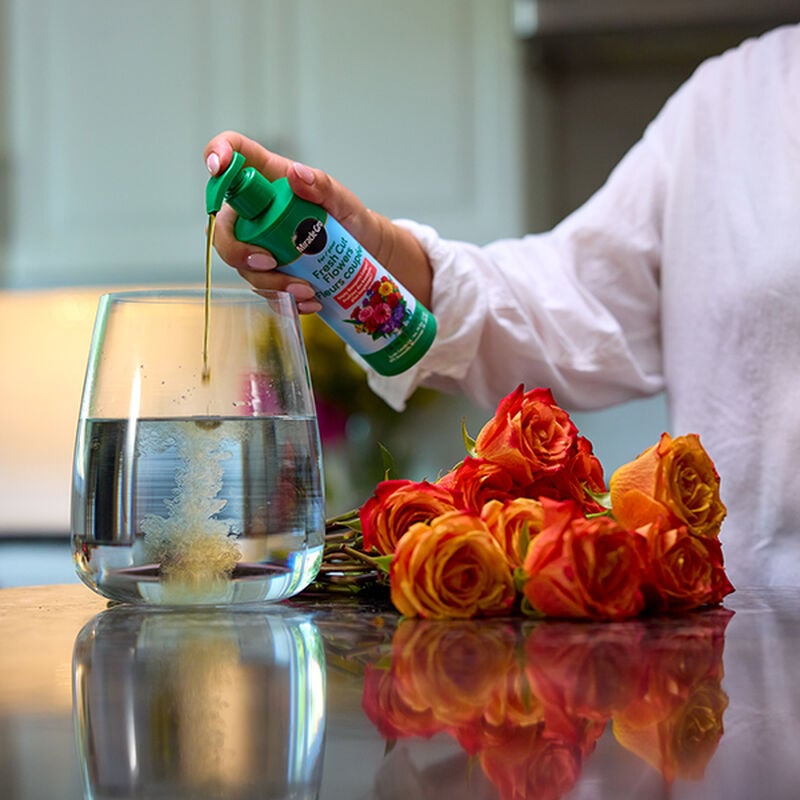 Miracle-Gro® for Fresh Cut Flowers image number null