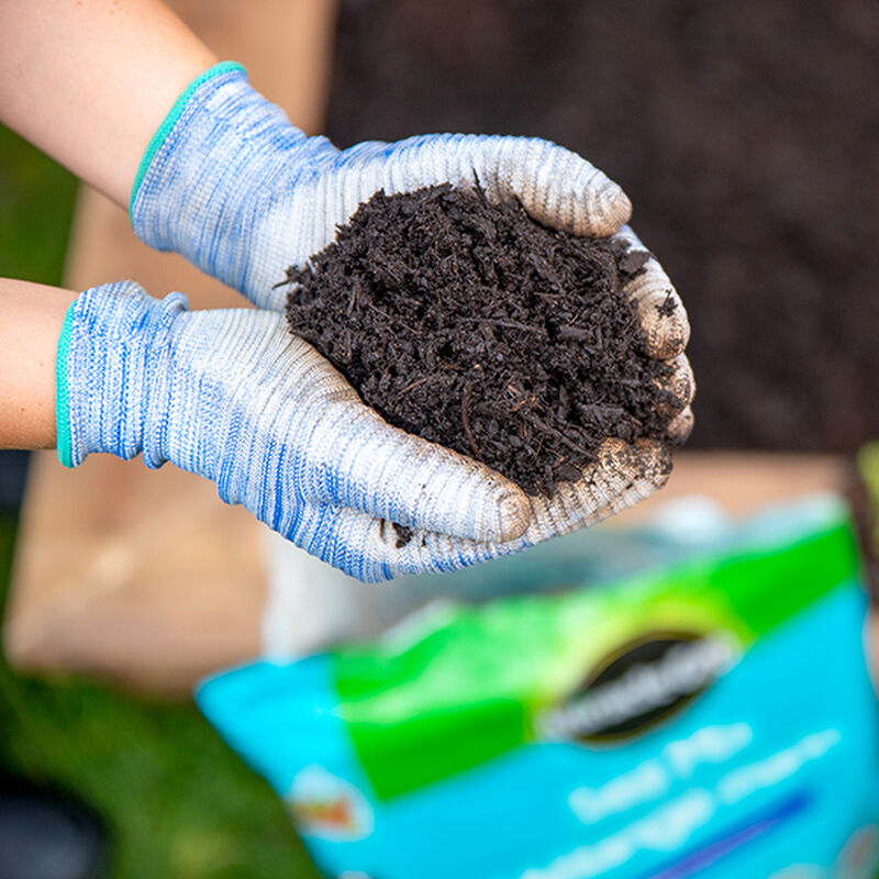 Miracle-Gro® Mélange Marin image number null
