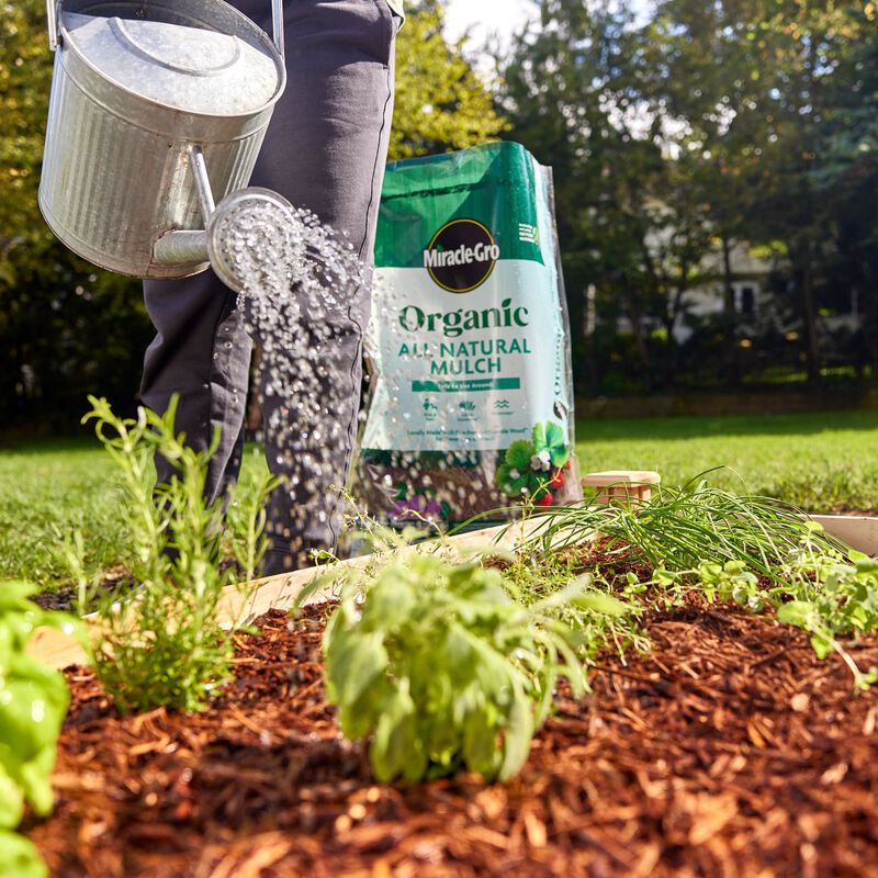 MiracleGro Organic All Natural Mulch MiracleGro