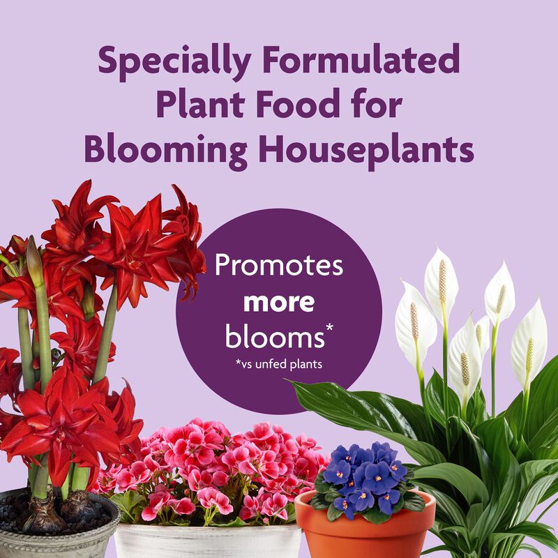 Miracle-Gro® Blooming Houseplant Food image number null