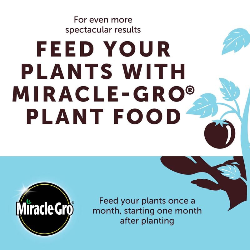 Surprise crafted by Miracle-Gro® Fibermix image number null