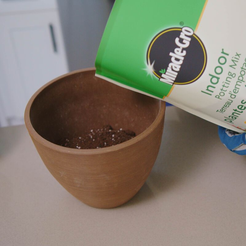 Miracle-Gro® Indoor Potting Mix image number null