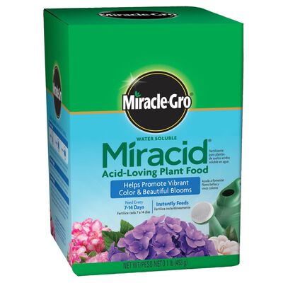 Miracle-Gro® Water Soluble Miracid Acid-Loving Plant Food