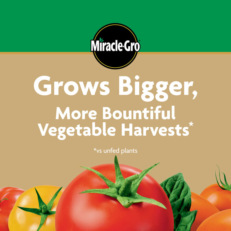 Miracle-Gro® Water Soluble Tomato Plant Food image number null