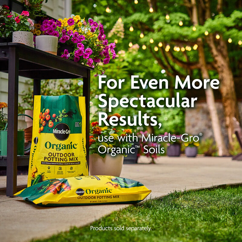 Miracle-Gro Organic™ All Purpose Plant Food image number null