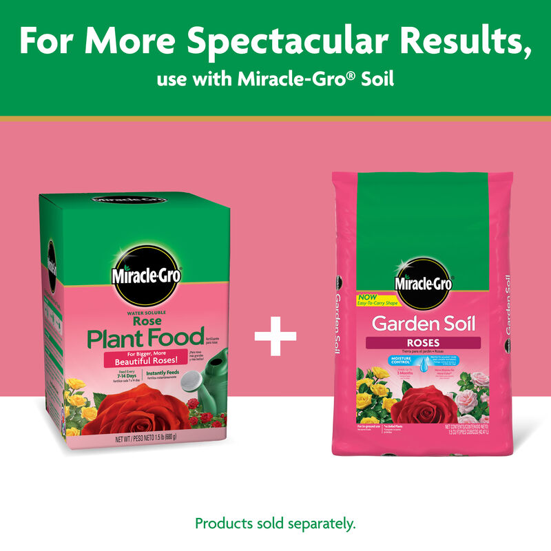 Miracle-Gro® Water Soluble Rose Plant Food image number null