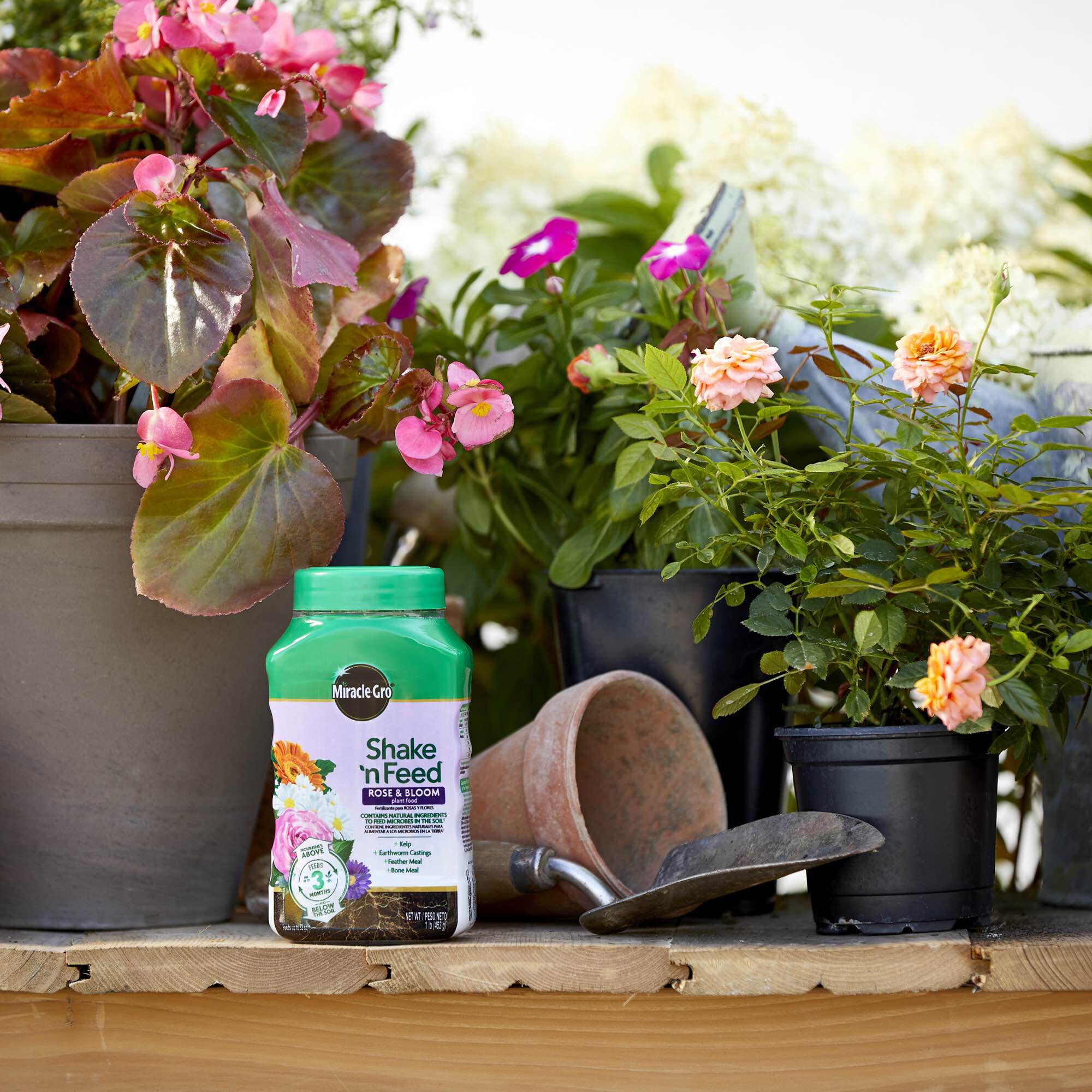 Miracle gro shake shop and feed