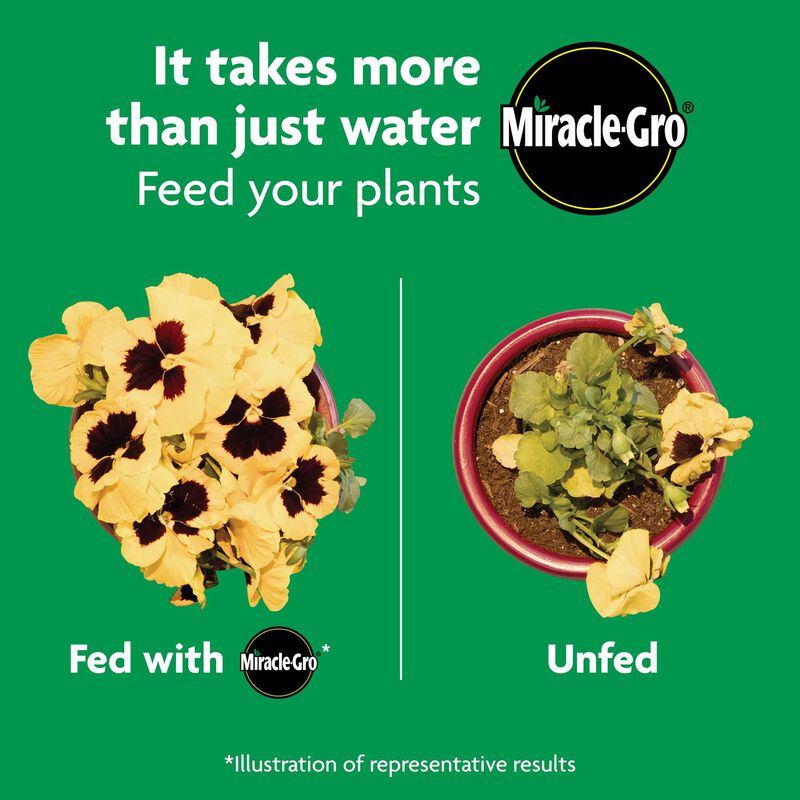 MiracleGro Shake 'N Feed All Purpose Plant Food Miracle Gro