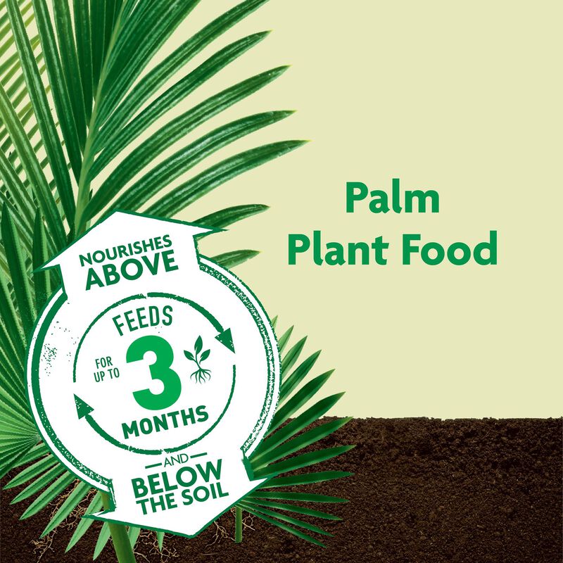 Miracle-Gro® Shake 'N Feed Palm Plant Food image number null