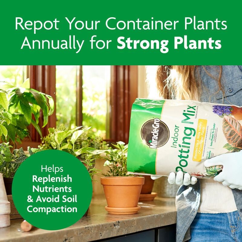 Miracle-Gro® Indoor Potting Mix image number null