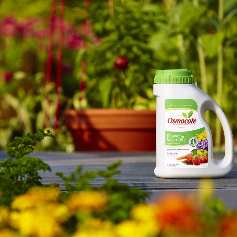 Osmocote® Smart-Release® Plant Food Flower & Vegetable image number null