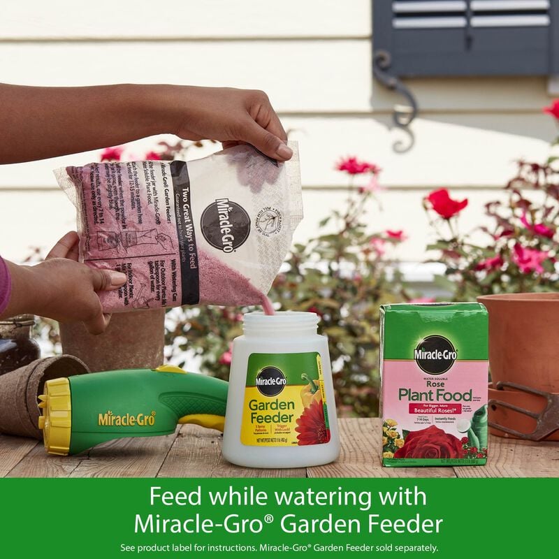 Miracle-Gro® Water Soluble Rose Plant Food image number null