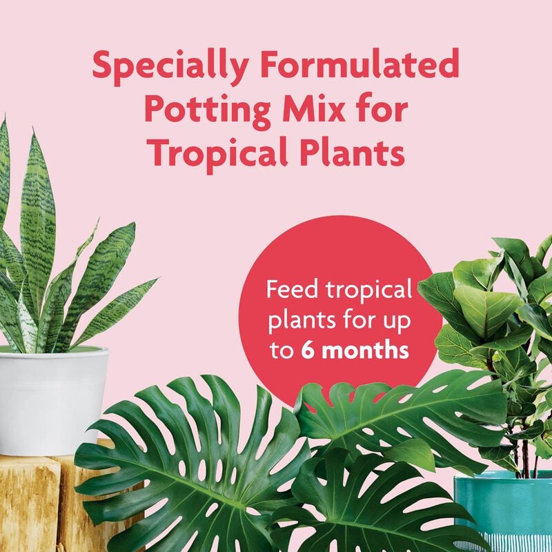 Miracle-Gro® Tropical Potting Mix image number null