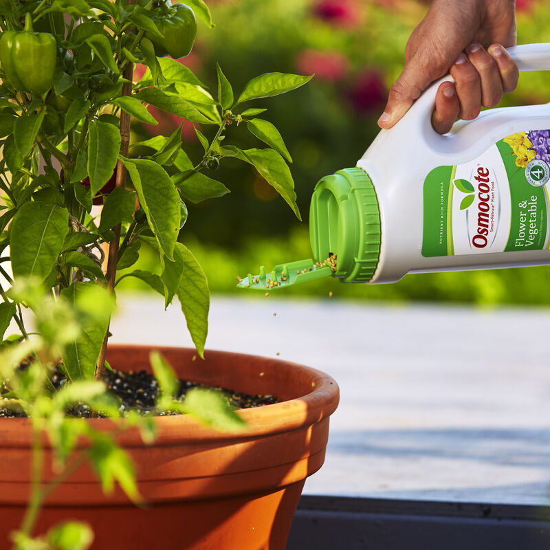 Osmocote® Smart-Release® Plant Food Flower & Vegetable image number null