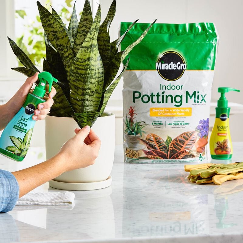 Miracle-Gro® Indoor Potting Mix, Miracle-Gro® Indoor Plant Food, and Miracle-Gro® Leaf Shine image number null