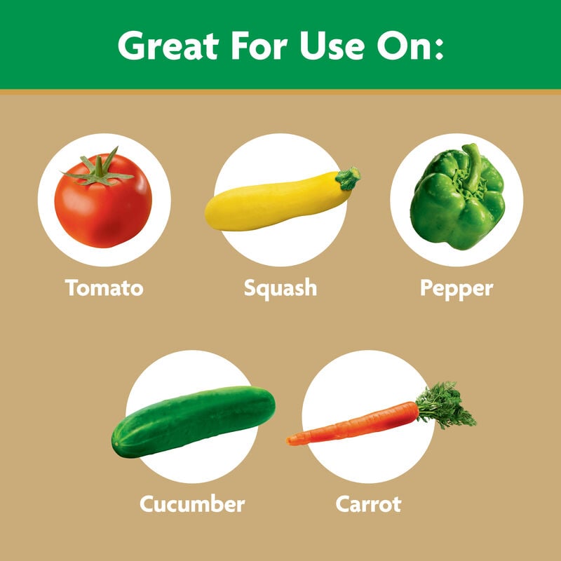 Miracle-Gro® Water Soluble Tomato Plant Food image number null