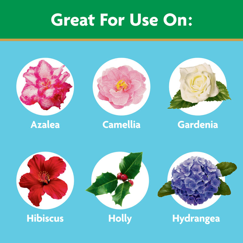 Miracle-Gro® Water Soluble Azalea, Camellia, Rhododendron Plant Food image number null