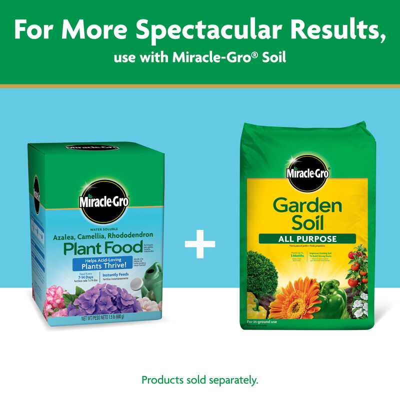 Miracle-Gro® Water Soluble Azalea, Camellia, Rhododendron Plant Food image number null