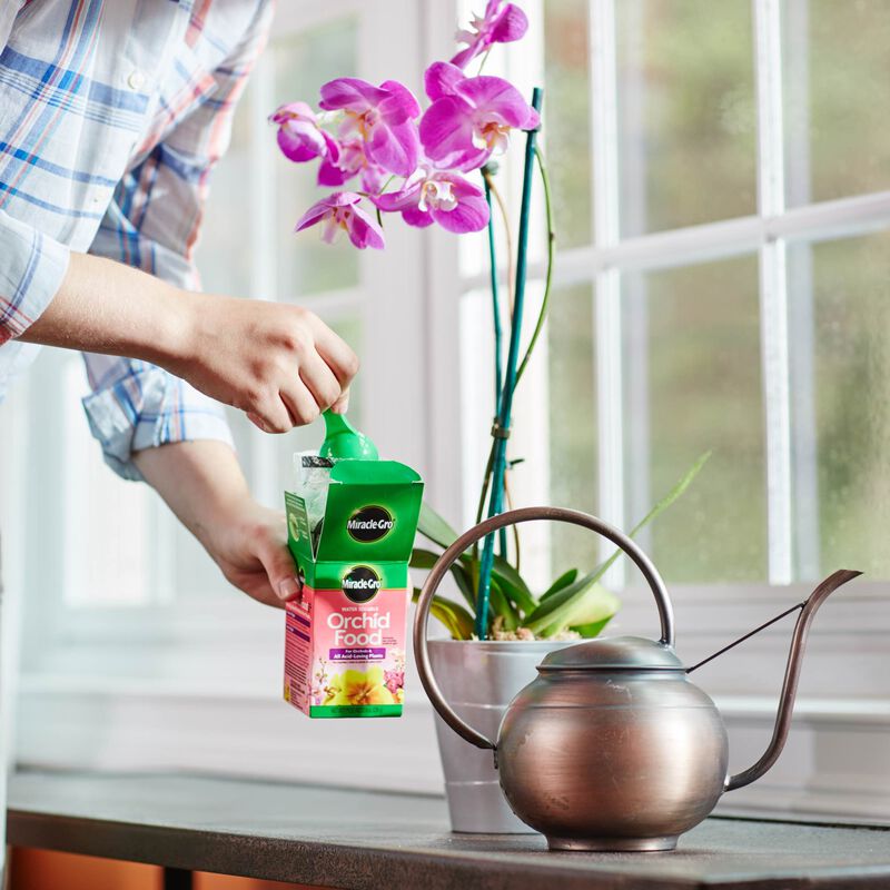 Miracle-Gro® Water Soluble Orchid Food image number null
