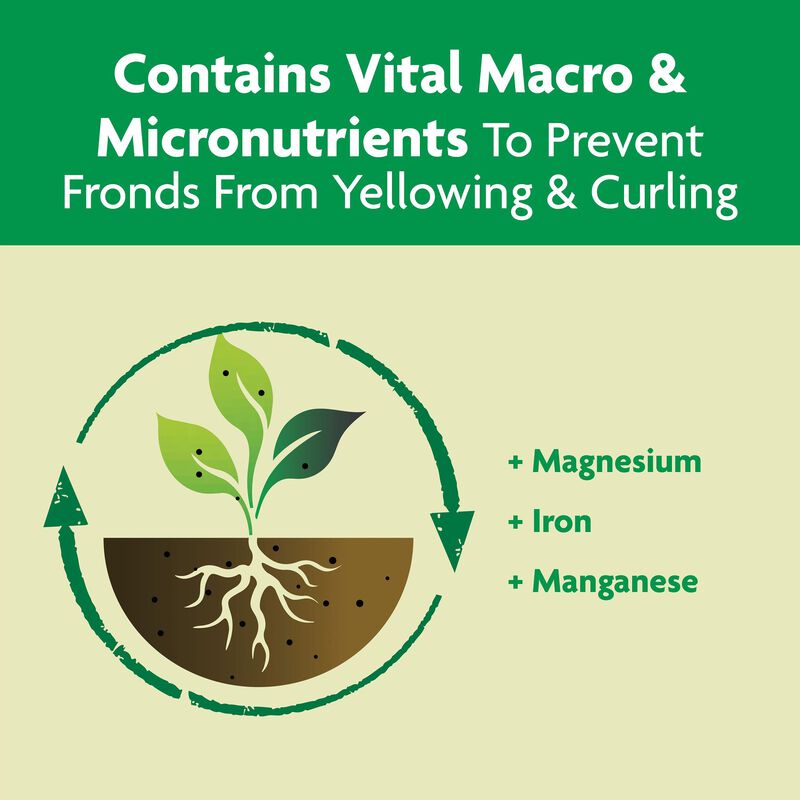 Miracle-Gro® Shake 'N Feed Palm Plant Food image number null