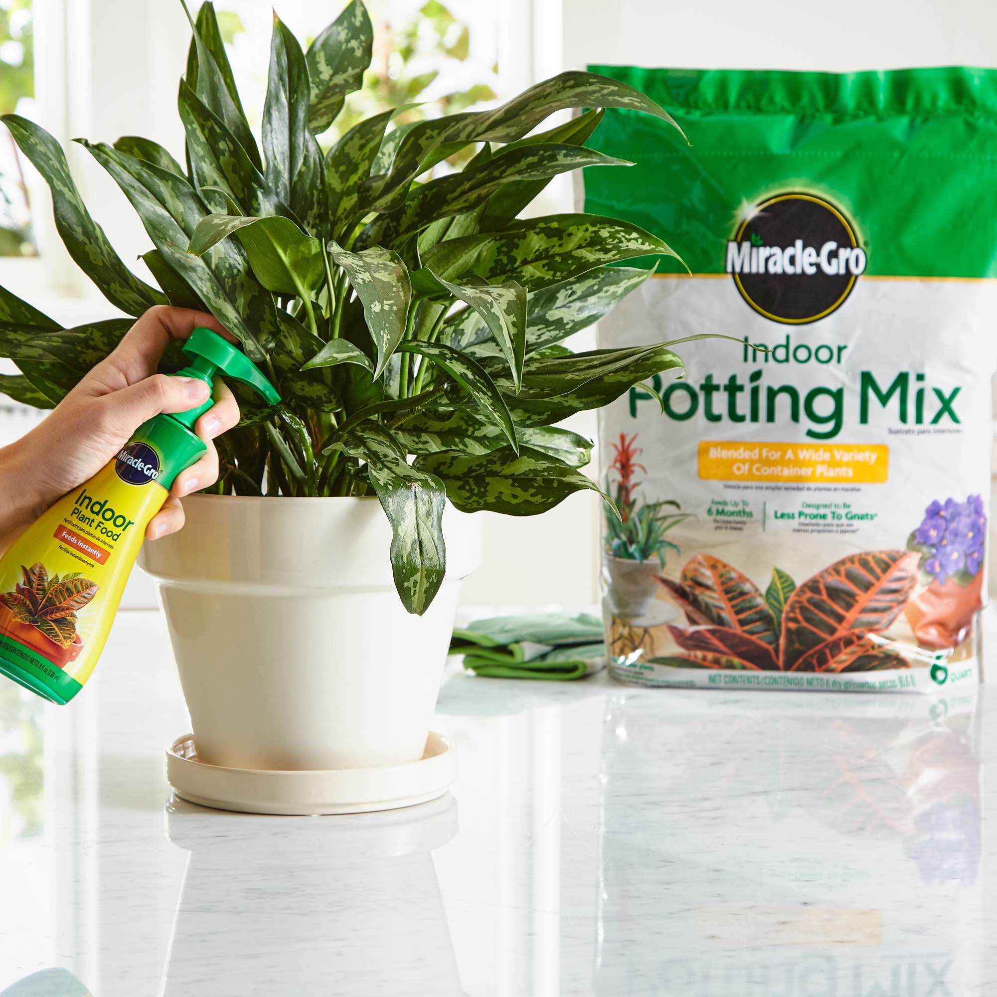 Miracle Gro Indoor Potting Mix and Miracle Gro Indoor Plant Food