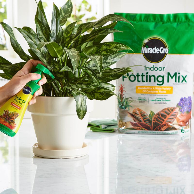 Miracle-Gro® Indoor Potting Mix and Miracle-Gro® Indoor Plant Food image number null