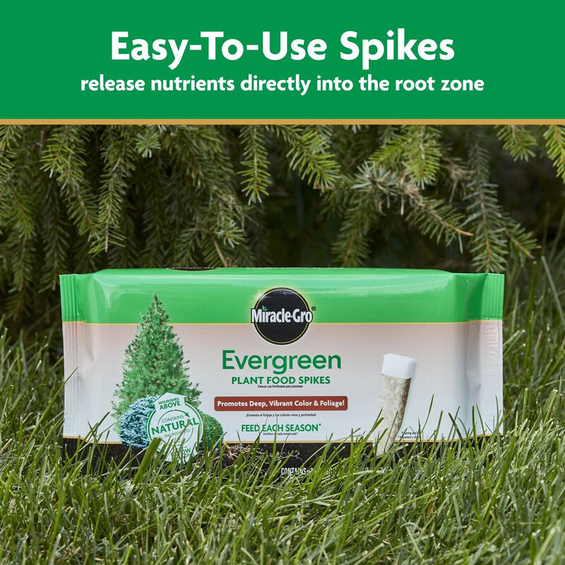 Miracle-Gro® Evergreen Plant Food Spikes image number null