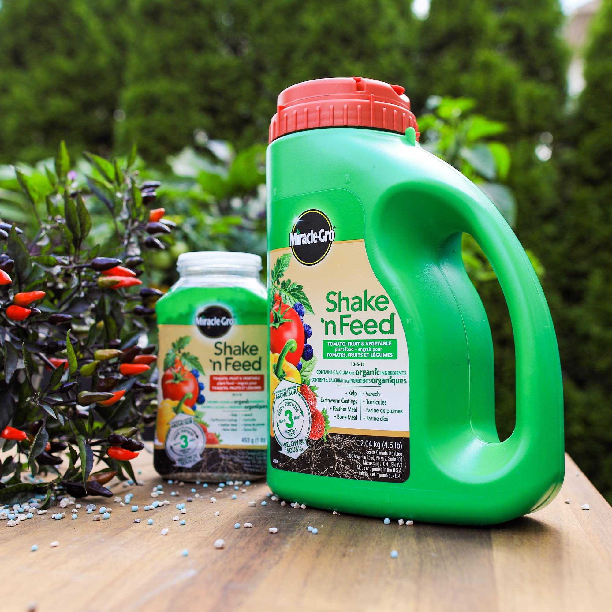 Miracle gro shake shop and feed