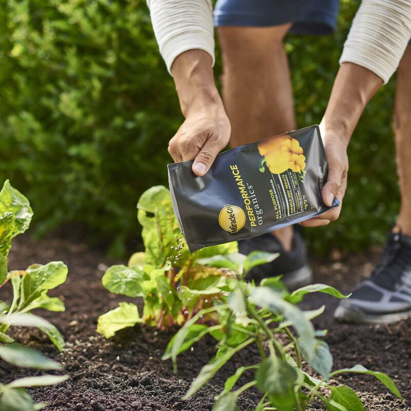 Miracle-Gro® Performance Organics All Purpose Plant Nutrition Granules image number null