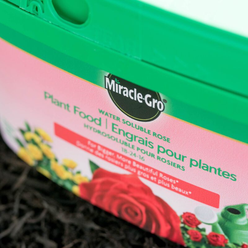 Miracle-Gro® Water Soluble Rose Plant Fertilizer image number null